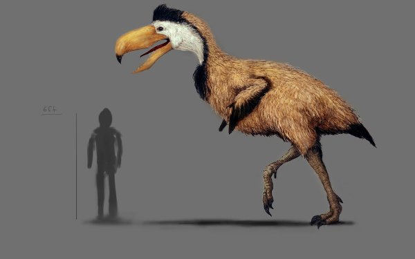 dangerous prehistoric birds 