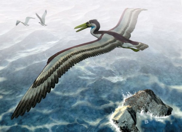 dangerous prehistoric birds 